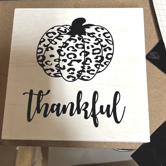 Other - Thankful cheetah